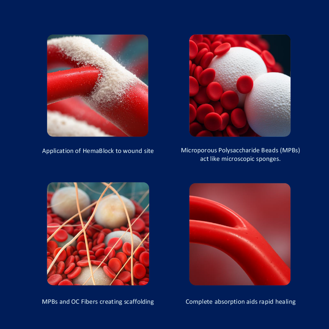 HemaBlock MAX Large Wound 5gram Applicator - 2 pack